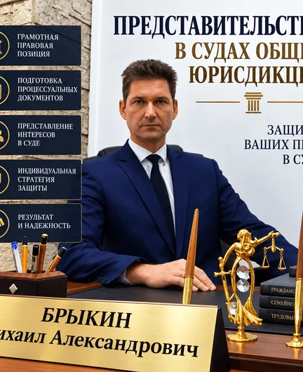 1a4d0027-ee18-4402-8a35-0314170f0184-представительство-в-судах.png